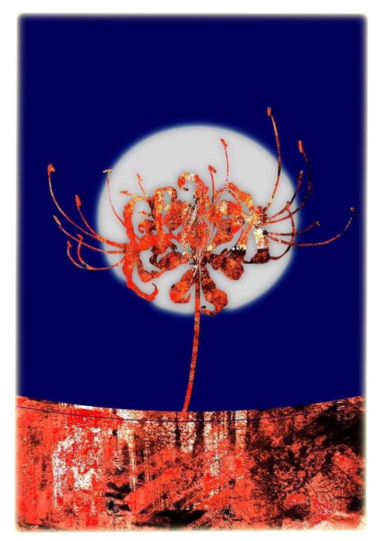 [使命召唤/COD乙女]Y/N不是人